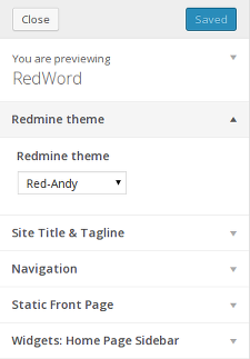Theme options in Customizer view